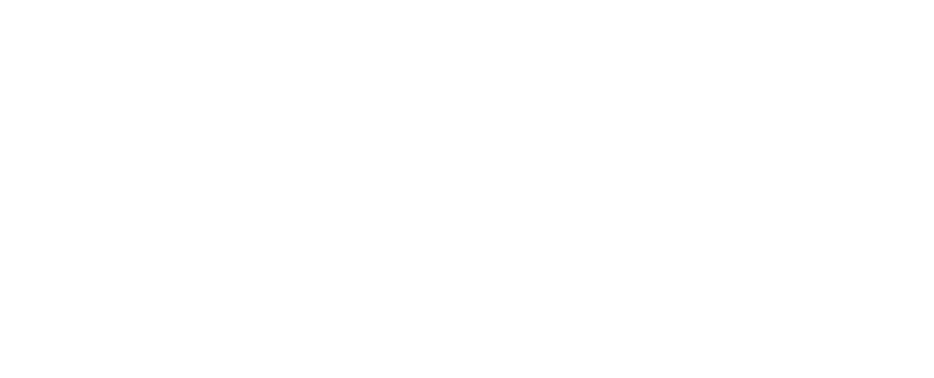 Madonna Logo Line
